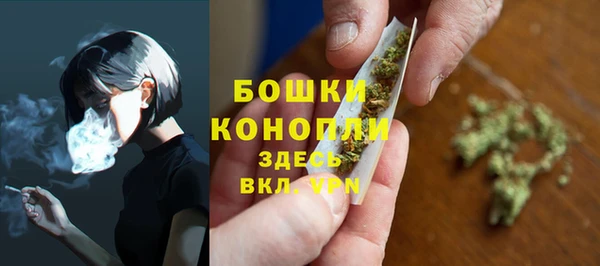 трава Покачи