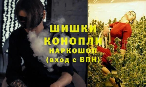 трава Покачи