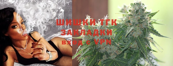 ПСИЛОЦИБИНОВЫЕ ГРИБЫ Покров