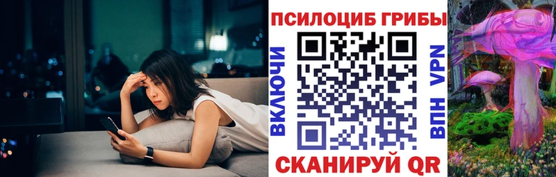 KRAKEN как зайти  дарнет шоп  Тетюши  Псилоцибиновые грибы Psilocybe 